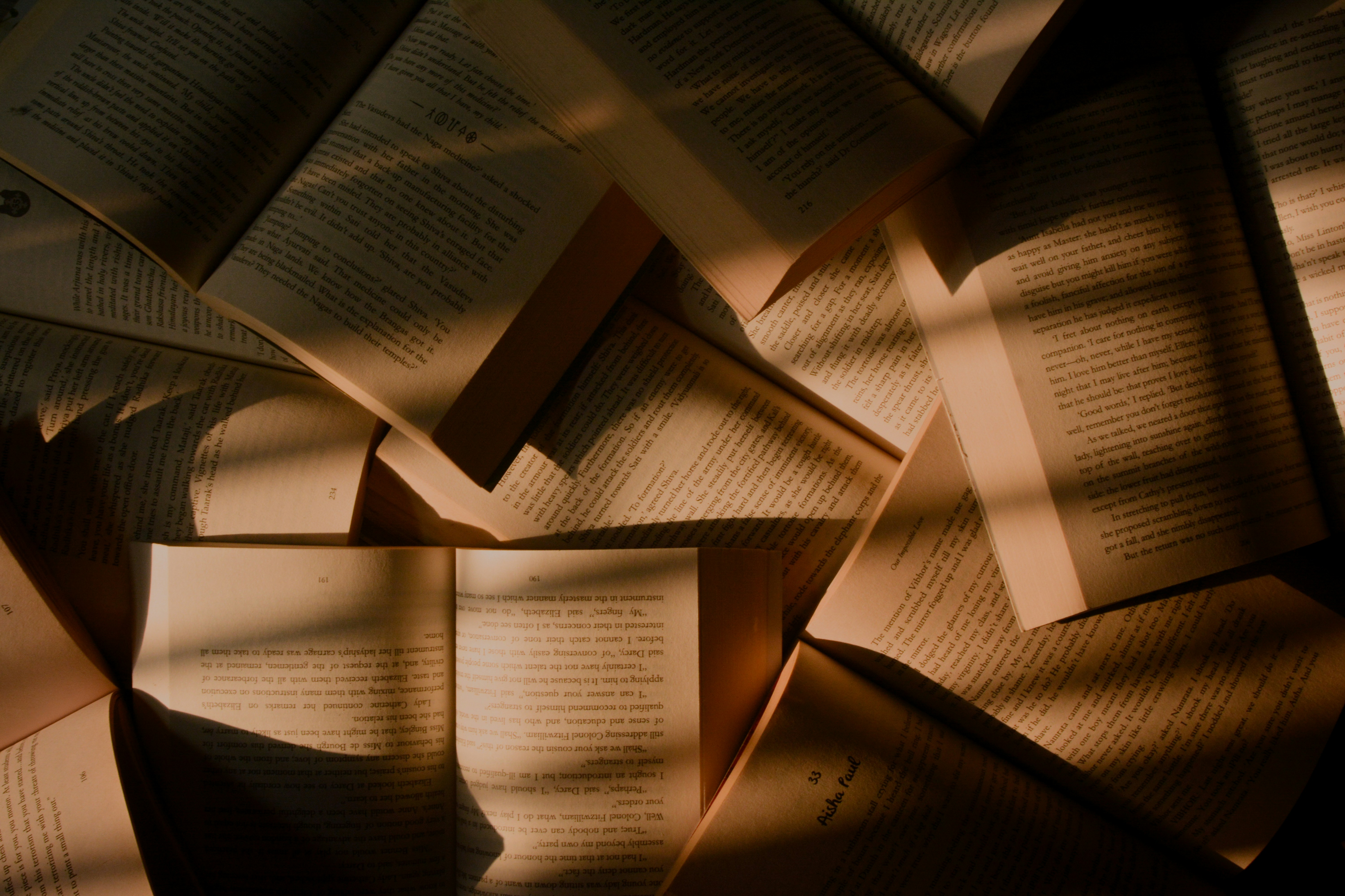 Open books spread out under warm light